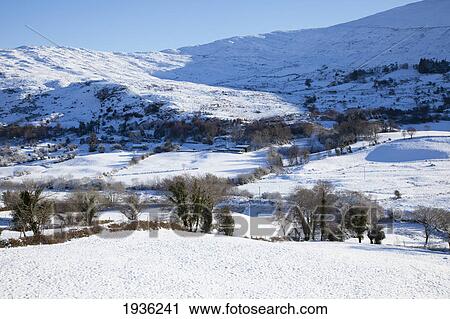 Stock Image - Snow-Covered Field In Winter; Bonane County Kerry Ireland. Fotosearch