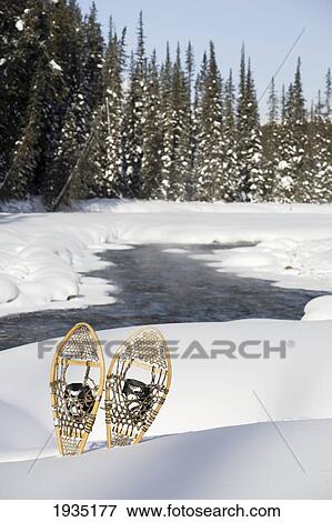Snowshoes By Snowy Lake; Lake Louise, Alberta, Canada View Large Photo Image Stock Photo - Snowshoes By Snowy Lake; Lake Louise, Alberta, Canada. Fotosearch