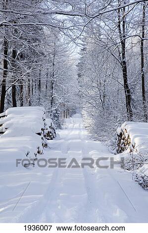 Stock Photo - Snowy Lane; Westerwald Rhineland-Palatinate Germany. Fotosearch