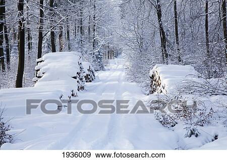 Snowy Lane; Westerwald Rhineland-Palatinate Germany View Large Photo Image Stock Photo - Snowy Lane; Westerwald Rhineland-Palatinate Germany. Fotosearch