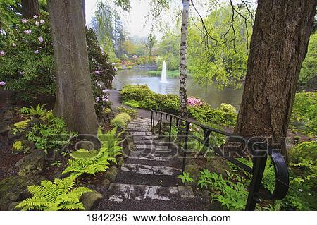 Stock Photograph - Spring Flowers In Crystal Springs Rhododendron Garden; Portland Oregon. Fotosearch