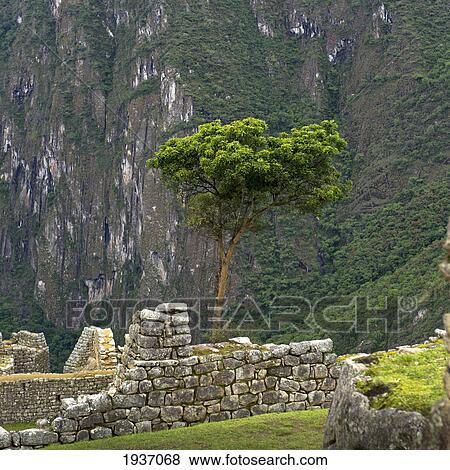 Stone Structures At Machu Picchu; Peru View Large Photo Image Stock Photo - Stone Structures At Machu Picchu; Peru. Fotosearch