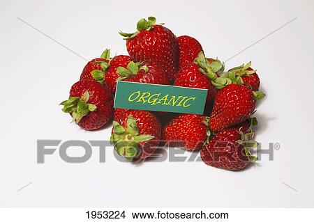 Picture - strawberries with an organic sign; waterloo quebec canada. Fotosearch