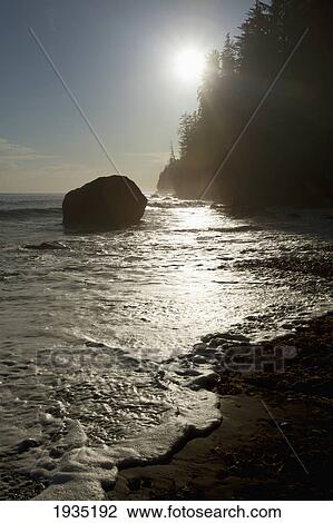 Sunlight On Seashore Of The Juan De Fuca Marine Trail; Mystic Beach, Vancouver Island, British Columbia, Canada View Large Photo Image Stock Image - Sunlight On Seashore Of The Juan De Fuca Marine Trail; Mystic Beach, Vancouver Island, British Columbia, Canada. Fotosearch