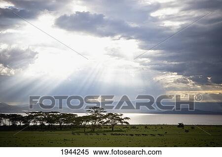 Stock Photography - sunlight shines down through the clouds onto a lake; kenya. Fotosearch