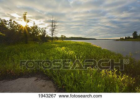 Stock Photo - Sunrise Over A Verdant Lake Shore In The Canadian Shield; Pinawa Manitoba Canada. Fotosearch