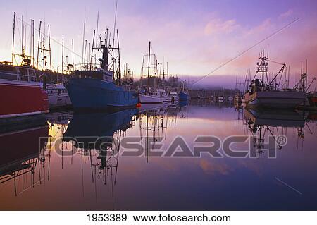 sunrise through the morning fog and fishing boats in newport harbor; newport oregon united states of america View Large Photo Image Stock Photo - sunrise through the morning fog and fishing boats in newport harbor; newport oregon united states of america. Fotosearch