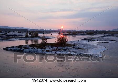 Picture - Sunset In Winter At The Gearagh Near Macroom; County Cork Ireland. Fotosearch