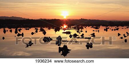 Picture - Sunset Over Water In Gearagh Nature Reserve; Macroom County Cork Ireland. Fotosearch