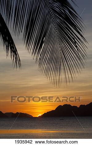 Sunset View Of Tropical Islands From The Beaches Of Corong Corong; El Nido, Bacuit Archipelago, Palawan, Philippines View Large Photo Image Stock Image - Sunset View Of Tropical Islands From The Beaches Of Corong Corong; El Nido, Bacuit Archipelago, Palawan, Philippines. Fotosearch