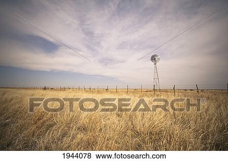 Tall Grass In A Field With A Wind Turbine Along The Fence; Texas United States Of America View Large Photo Image Stock Photo - Tall Grass In A Field With A Wind Turbine Along The Fence; Texas United States Of America. Fotosearch