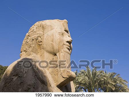 the alabaster sphinx; memphis egypt View Large Photo Image Stock Image - the alabaster sphinx; memphis egypt. Fotosearch
