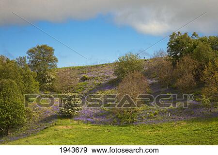 Stock Photo - The Edge Of A Cloud Against A Blue Sky; Northumberland England. Fotosearch