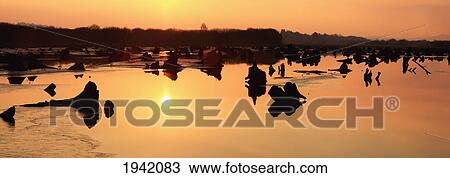 Stock Image - The Gearagh Near Macroom At Sunset; County Cork Ireland. Fotosearch