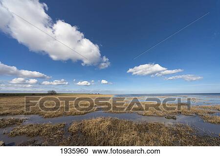 Stock Image - The North Sea As Viewed From The Shore; Northumberland England. Fotosearch