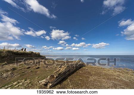 The North Sea As Viewed From The Shore; Northumberland England View Large Photo Image Stock Image - The North Sea As Viewed From The Shore; Northumberland England. Fotosearch