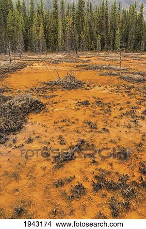Picture - The Paint Pots Of Kootenay National Park; British Columbia Canada. Fotosearch