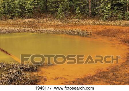 Stock Photo - The Paint Pots Of Kootenay National Park; British Columbia Canada. Fotosearch