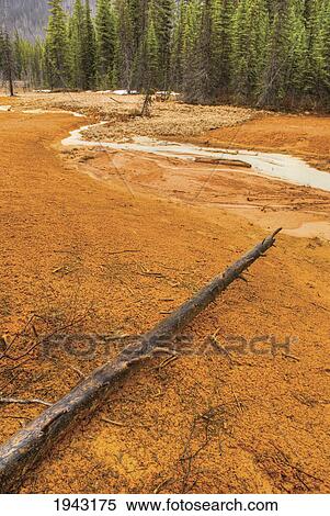 Stock Photography - The Paint Pots Of Kootenay National Park; British Columbia Canada. Fotosearch