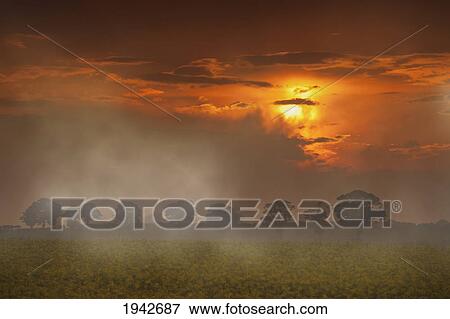 The Red Glow Of A Sunset And Fog Over A Field; Northumberland England View Large Photo Image Stock Photo - The Red Glow Of A Sunset And Fog Over A Field; Northumberland England. Fotosearch