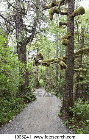 Stock Image - The Scenery Along The Wild Pacific Trail On Vancouver Island; Ucluelet, British Columbia, Canada. Fotosearch