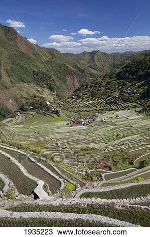 Stock Image - The Stunning Ifugao Stone-Walled Rice Terraces Surround The Village Of Batad; North Luzon, Philippines. Fotosearch
