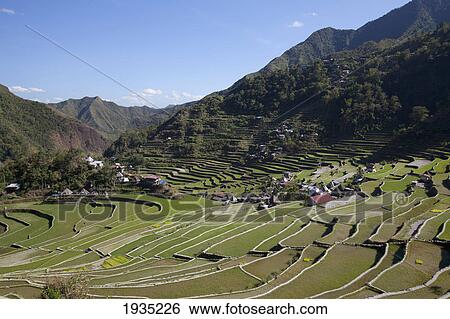 Stock Photograph - The Stunning Ifugao Stone-Walled Rice Terraces Surround The Village Of Batad; North Luzon, Philippines. Fotosearch