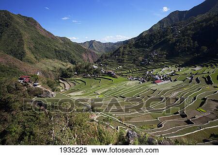 Stock Photography - The Stunning Ifugao Stone-Walled Rice Terraces Surround The Village Of Batad; North Luzon, Philippines. Fotosearch