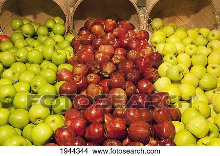 Picture - three kinds of apples; waterloo quebec canada. Fotosearch