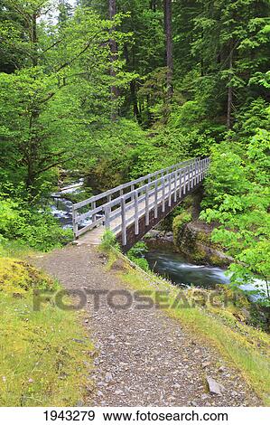 Stock Photo - Trail Along Tanner Creek In Columbia River Gorge National Scenic Area In The Pacific Northwest; Oregon United States Of America. Fotosearch