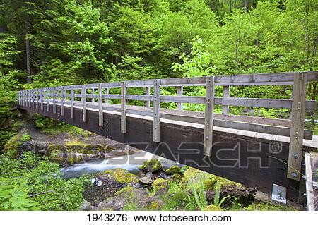 Trail Along Tanner Creek In Columbia River Gorge National Scenic Area In The Pacific Northwest; Oregon United States Of America View Large Photo Image Stock Photograph - Trail Along Tanner Creek In Columbia River Gorge National Scenic Area In The Pacific Northwest; Oregon United States Of America. Fotosearch