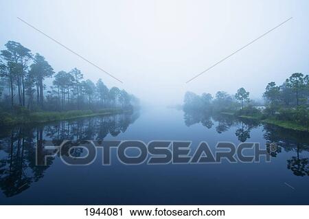 Trees Reflected In The Water Along A River; Pensacola Florida United States Of America View Large Photo Image Stock Image - Trees Reflected In The Water Along A River; Pensacola Florida United States Of America. Fotosearch