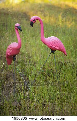 two pink plastic flamingos in the grass; petaluma california united states of america View Large Photo Image Stock Photography - two pink plastic flamingos in the grass; petaluma california united states of america. Fotosearch