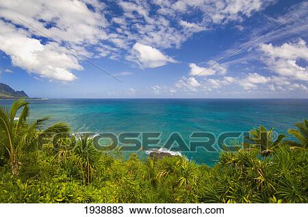 View Looking West Off The Island Of Kauai; Kauai Hawaii United States Of America View Large Photo Image Stock Image - View Looking West Off The Island Of Kauai; Kauai Hawaii United States Of America. Fotosearch