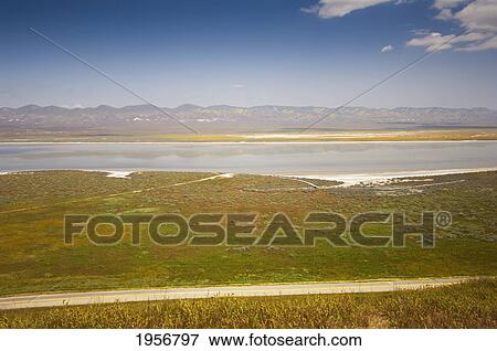 view of carrizo plain and soda lake; california united states of america View Large Photo Image Stock Photo - view of carrizo plain and soda lake; california united states of america. Fotosearch