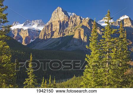 View Of Glacial Mountains And Trees In Banff National Park; Alberta Canada View Large Photo Image Stock Image - View Of Glacial Mountains And Trees In Banff National Park; Alberta Canada. Fotosearch