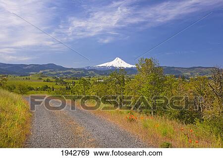 Stock Photo - View Of Mount Hood From A Gravel Road In Hood River Valley; Oregon United States Of America. Fotosearch