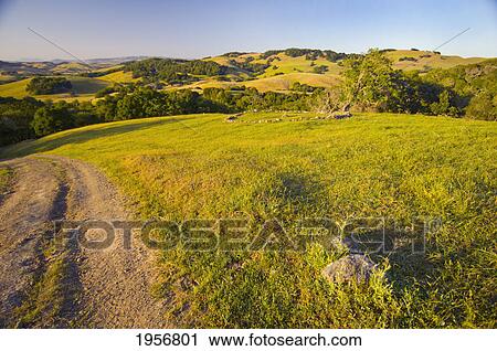 Stock Image - view of rolling california hills; petaluma california united states of america. Fotosearch