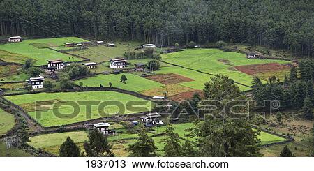 View Of The Gangte Goemba Monastery; Punakha District Bhutan View Large Photo Image Stock Image - View Of The Gangte Goemba Monastery; Punakha District Bhutan. Fotosearch