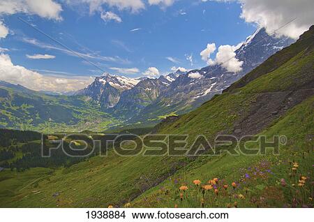 View Of The Hills And Mountains Near The City Of Grindelwald; Jungfrau Switzerland View Large Photo Image Picture - View Of The Hills And Mountains Near The City Of Grindelwald; Jungfrau Switzerland. Fotosearch
