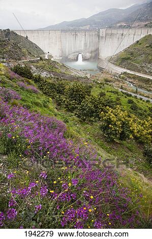 Stock Photo - Water Dam And Wildflowers On A Hill Near Granada; Andalusia Spain. Fotosearch
