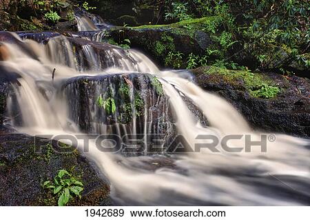 Water Flowing Over Rocks With Lush Foliage; Northumberland England View Large Photo Image Stock Photo - Water Flowing Over Rocks With Lush Foliage; Northumberland England. Fotosearch