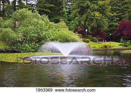 Stock Photo - water fountain in a pond at mingus park; coos bay oregon united states of america. Fotosearch