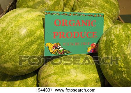Stock Photo - watermelon with a sign labeled organic produce; waterloo quebec canada. Fotosearch