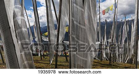 Stock Photo - White Fabric Hanging From Posts And Prayer Flags; Trongsa District Bhutan. Fotosearch