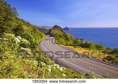 Picture - wildflowers and afternoon light add beauty to the highway and rock formations at humbug mountain state park; oregon united states of america. Fotosearch