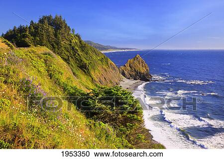 Stock Image - wildflowers and afternoon light add beauty to rock formations at humbug mountain state park; oregon united states of america. Fotosearch