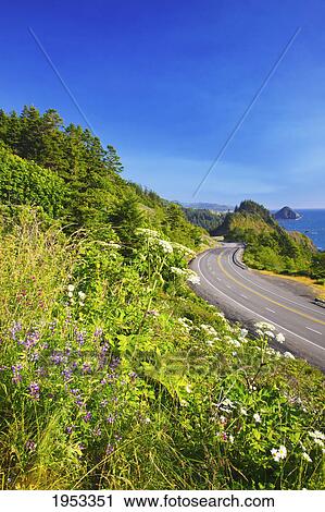 Stock Image - wildflowers and afternoon light add beauty to the highway and rock formations at humbug mountain state park; oregon united states of america. Fotosearch