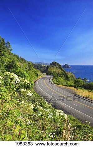 Stock Image - wildflowers and afternoon light add beauty to the highway and rock formations at humbug mountain state park; oregon united states of america. Fotosearch