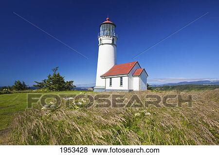 Stock Photo - wildflowers and cape blanco lighthouse; cape blanco oregon united states of america. Fotosearch